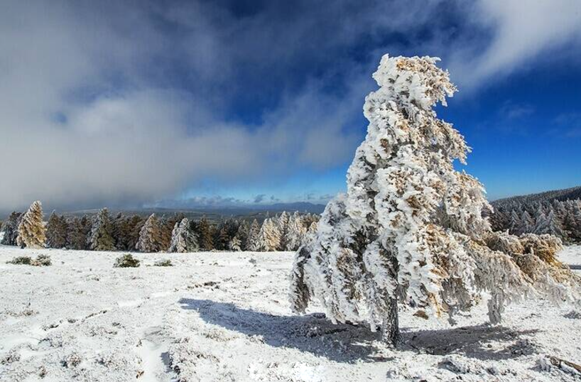 【新活动】12.20·自驾芦芽山穿越林海雪原招募中